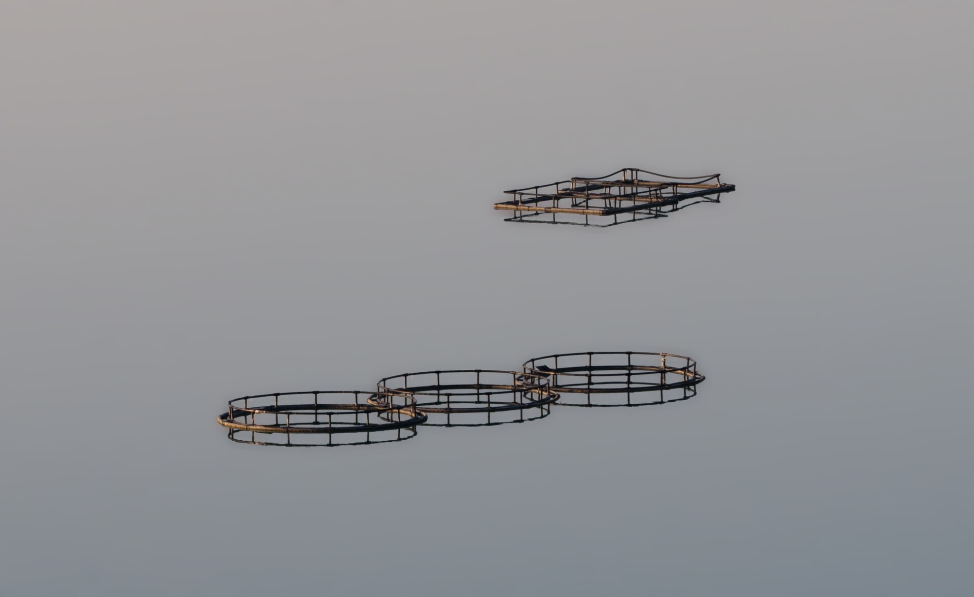 Circular fish farming cages in open water, geometry example without tether measurement